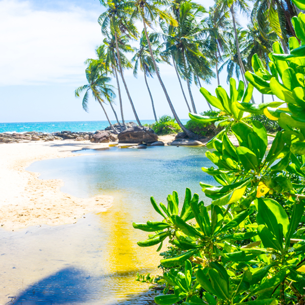 Sri lanka
